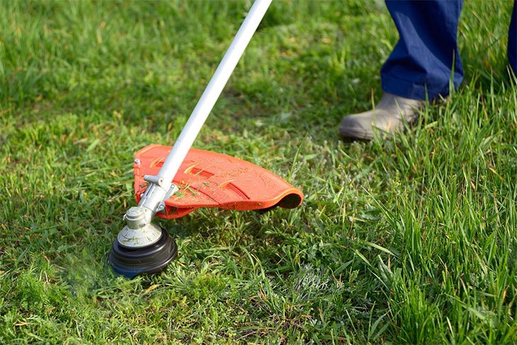 A Comprehensive Guide to the Best Echo Weed Eater