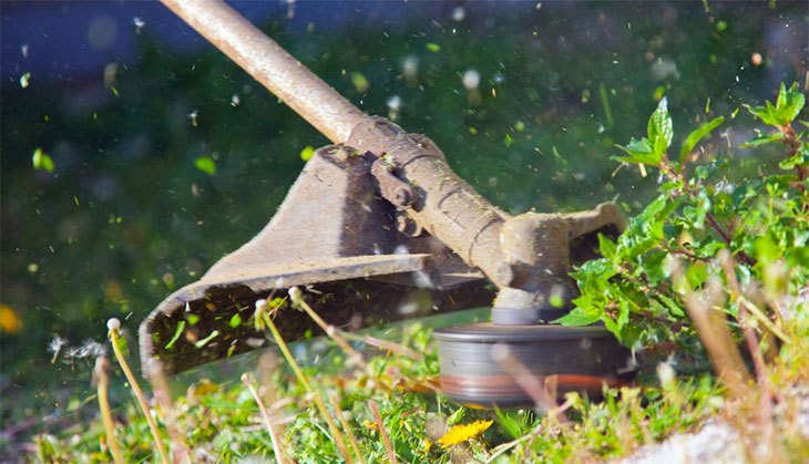 A Comprehensive Guide to the Best Echo Weed Eater