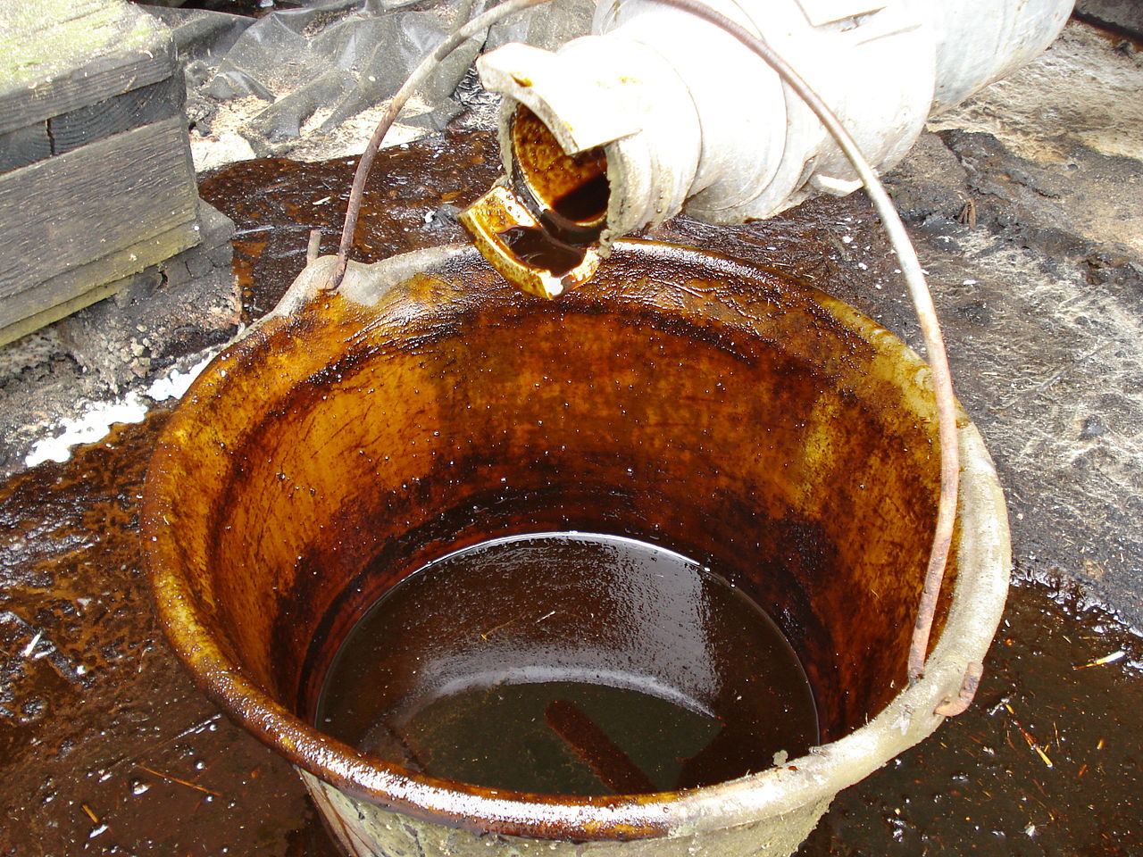 Can Too Much Molasses Kill Your Cannabis Plant? WeedMania420