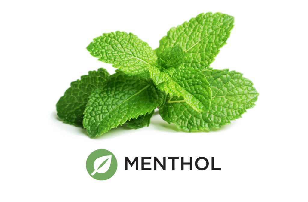 What is Menthol? Menthol Terpene Definition Weedmaps