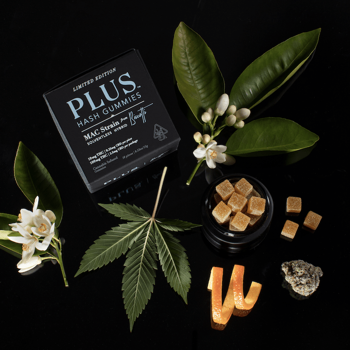 8 new weed products you should try from PLUS, Houseplant, High Life