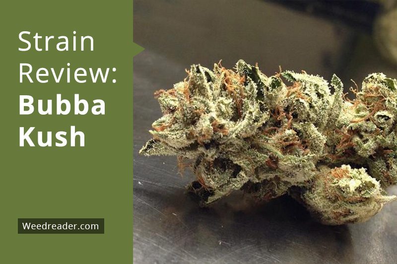 Strain Review Bubba Kush Weed Reader