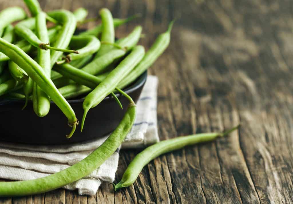 Growing Green Beans in a Container Garden