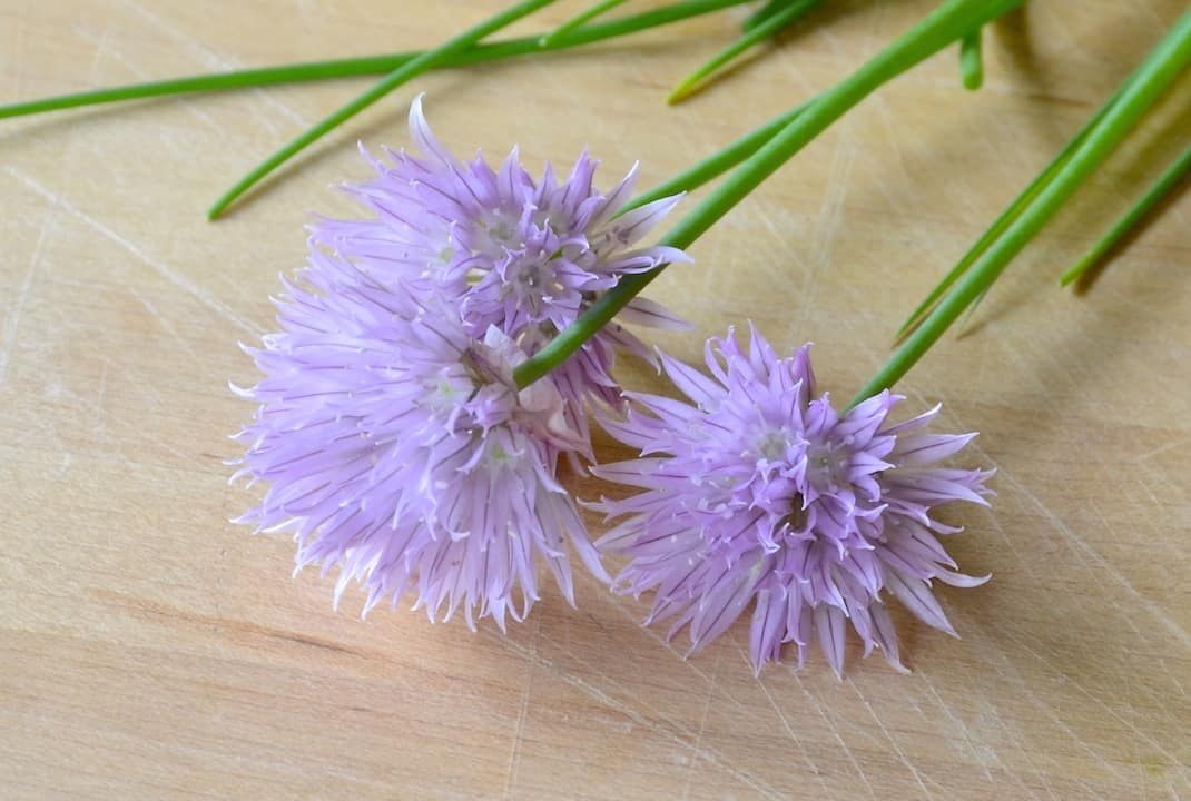Zucchini Salad With White Truffle Oil Weekend at the Cottage