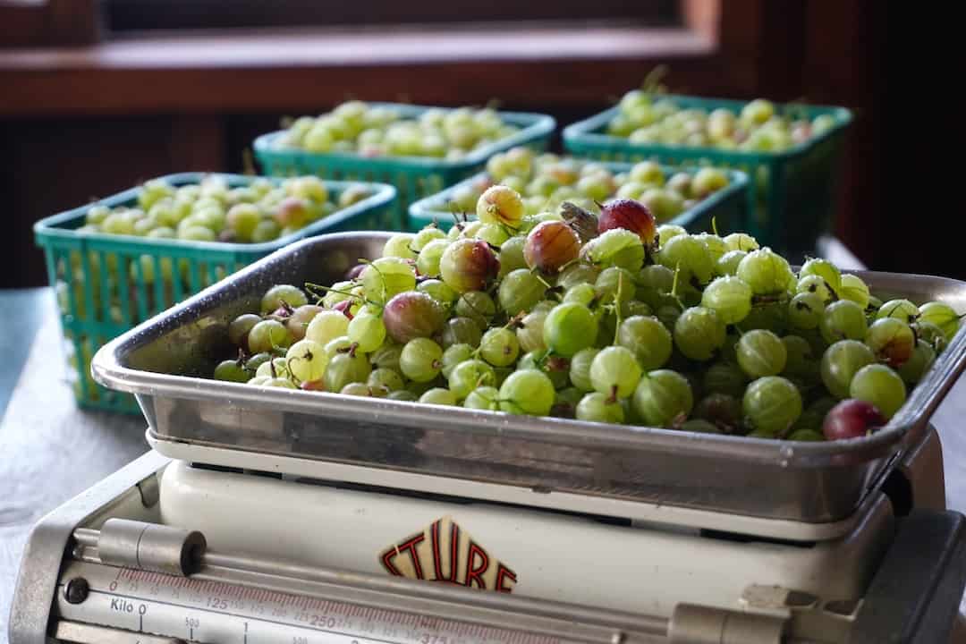 Homemade Gooseberry Jam Weekend at the Cottage