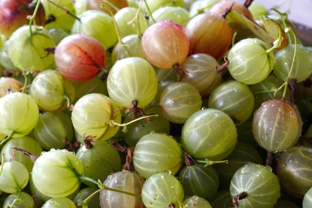 Homemade Gooseberry Jam Weekend at the Cottage