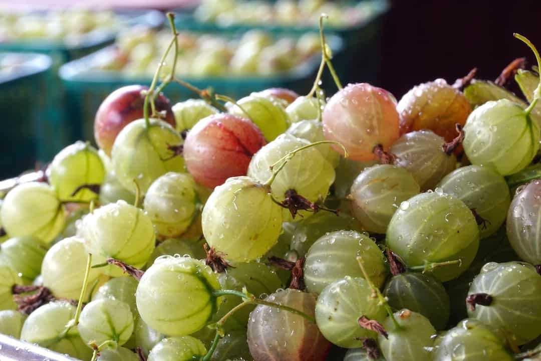 Homemade Gooseberry Jam Weekend at the Cottage