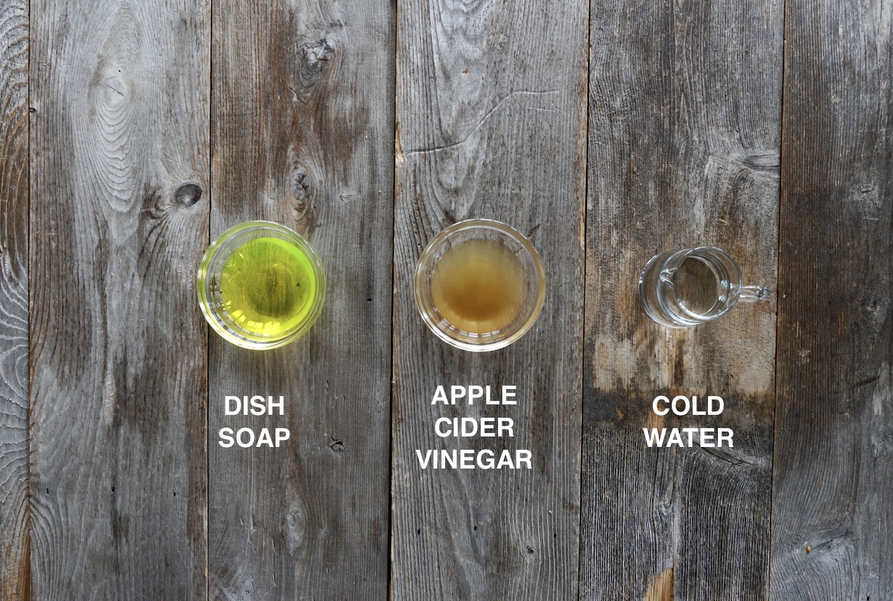 Homemade Fruit Fly Trap Weekend at the Cottage