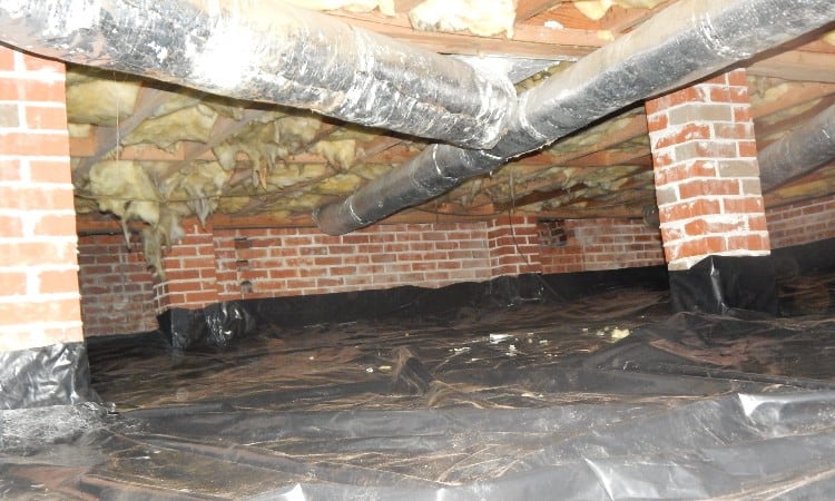 Crawl Space Encapsulation Pros, Cons and Costs