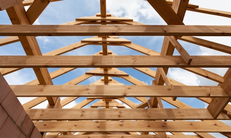 How Do You Locate A Ceiling Joist | Americanwarmoms.org