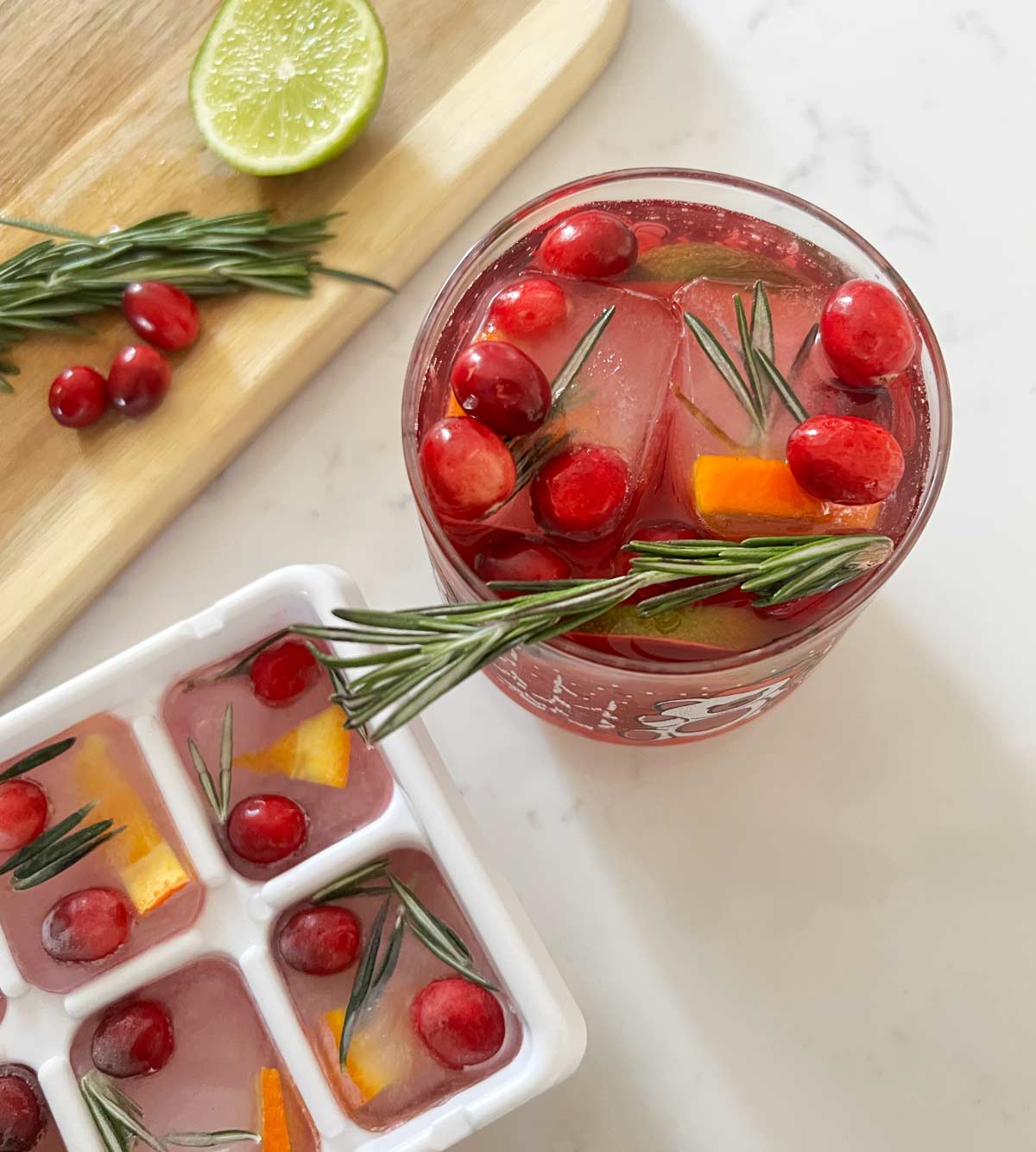 Infused Ice Cubes Weekend Craft