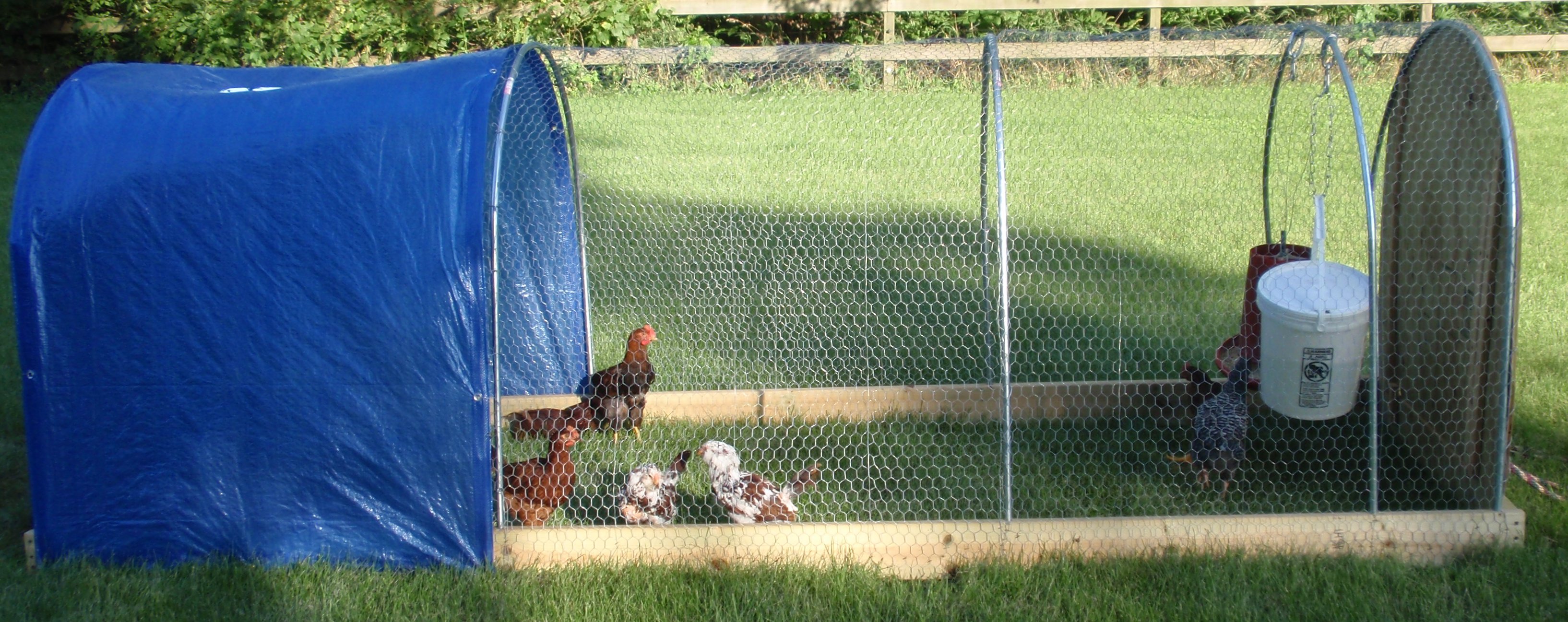 Chicken Tractor