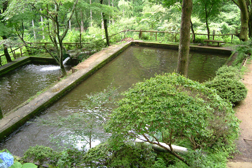 増渕魚園（北茨城市）うぃーくえんど茨城