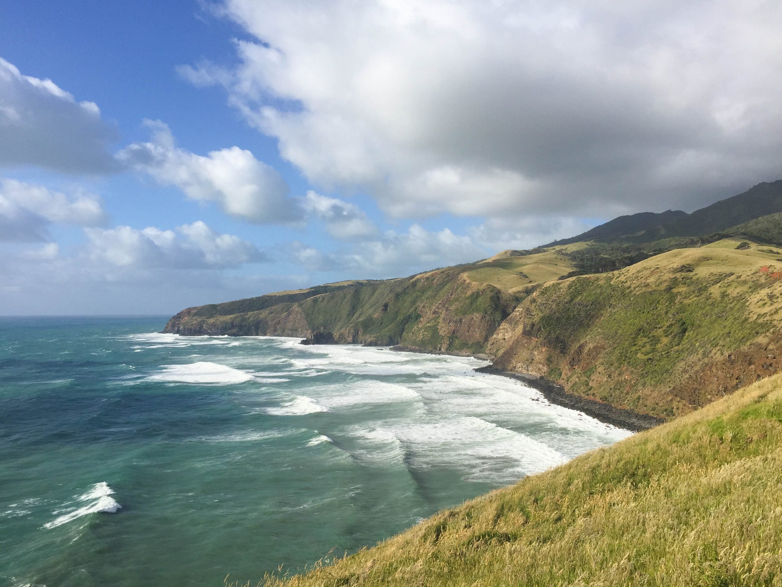 The Ultimate Getaway Guide to Raglan, New Zealand The Best Things to