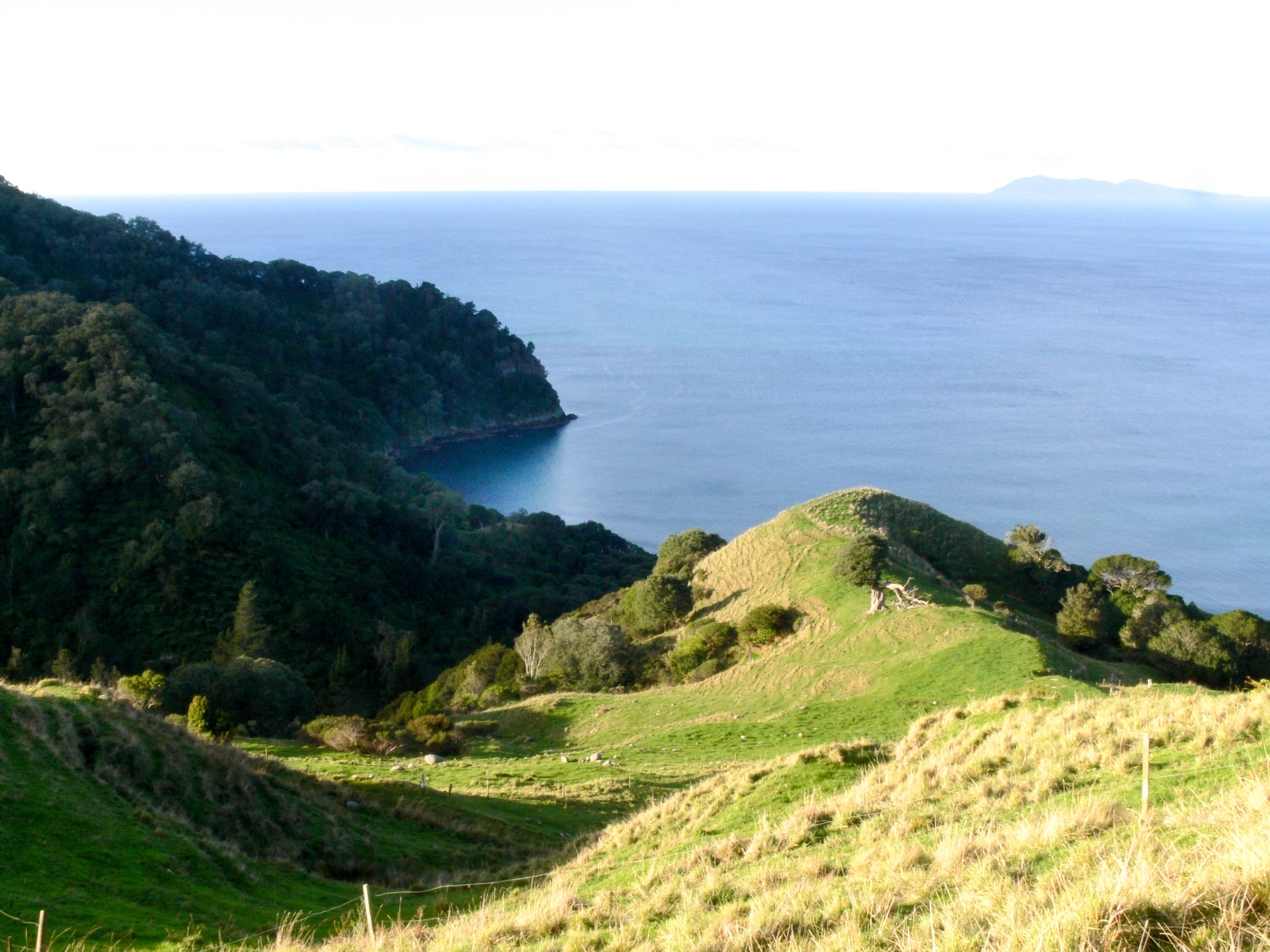 These Hidden Coves Near Waihi Beach are Well Worth the Hike