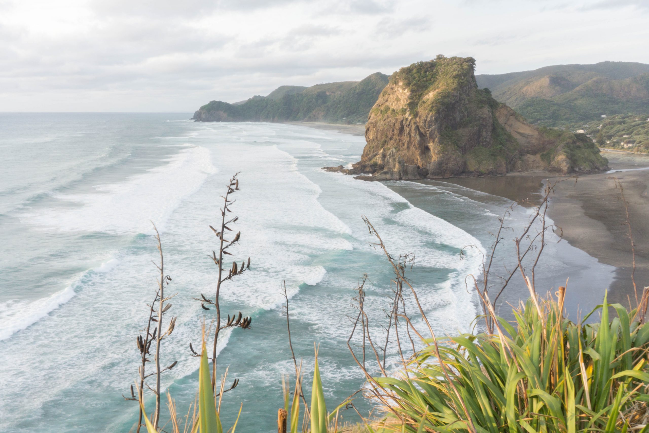 Piha Beach Where Mountains Meet the Sea