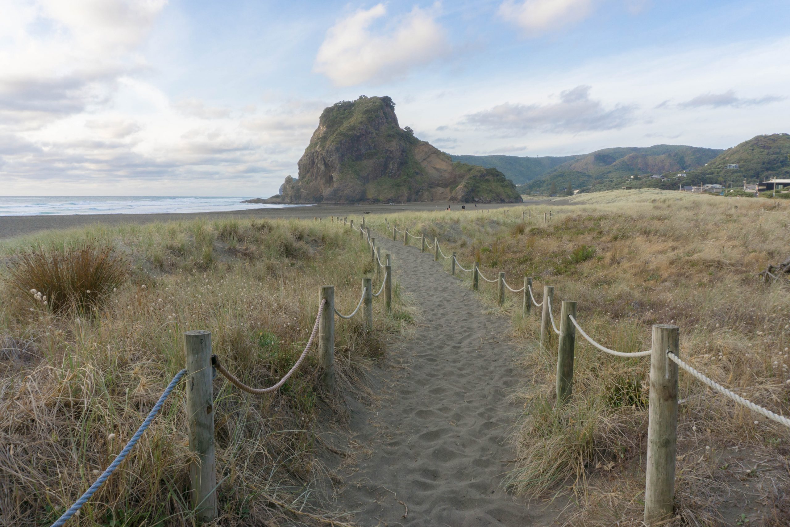 Piha Beach Where Mountains Meet the Sea