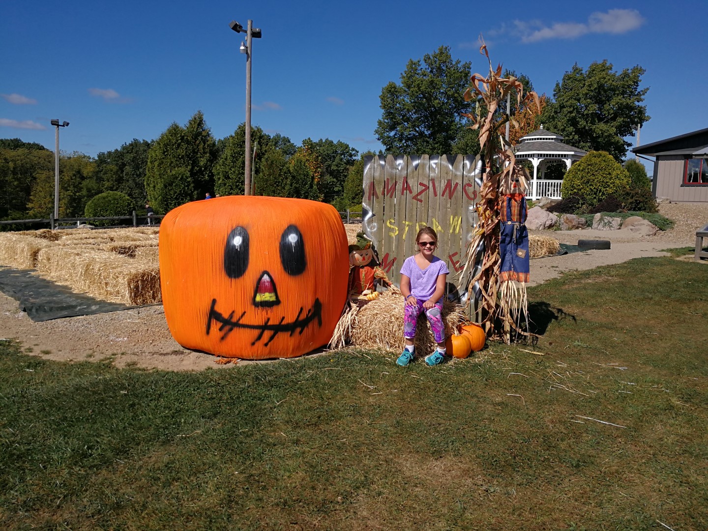 Whispering Hills Jellystone (Ohio) Campground Review