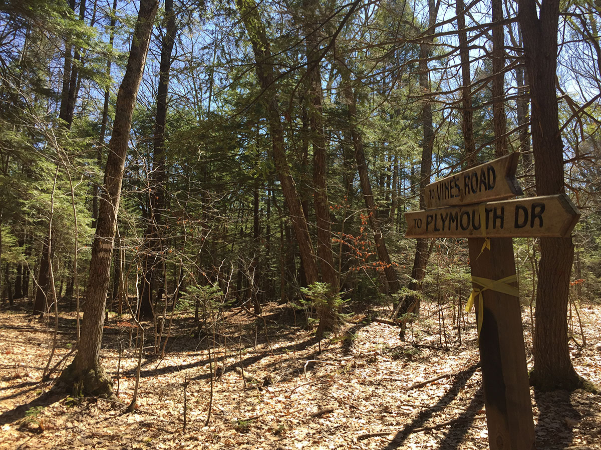 Maine Hikes Saco Beach Loop Trail Weekends in Maine