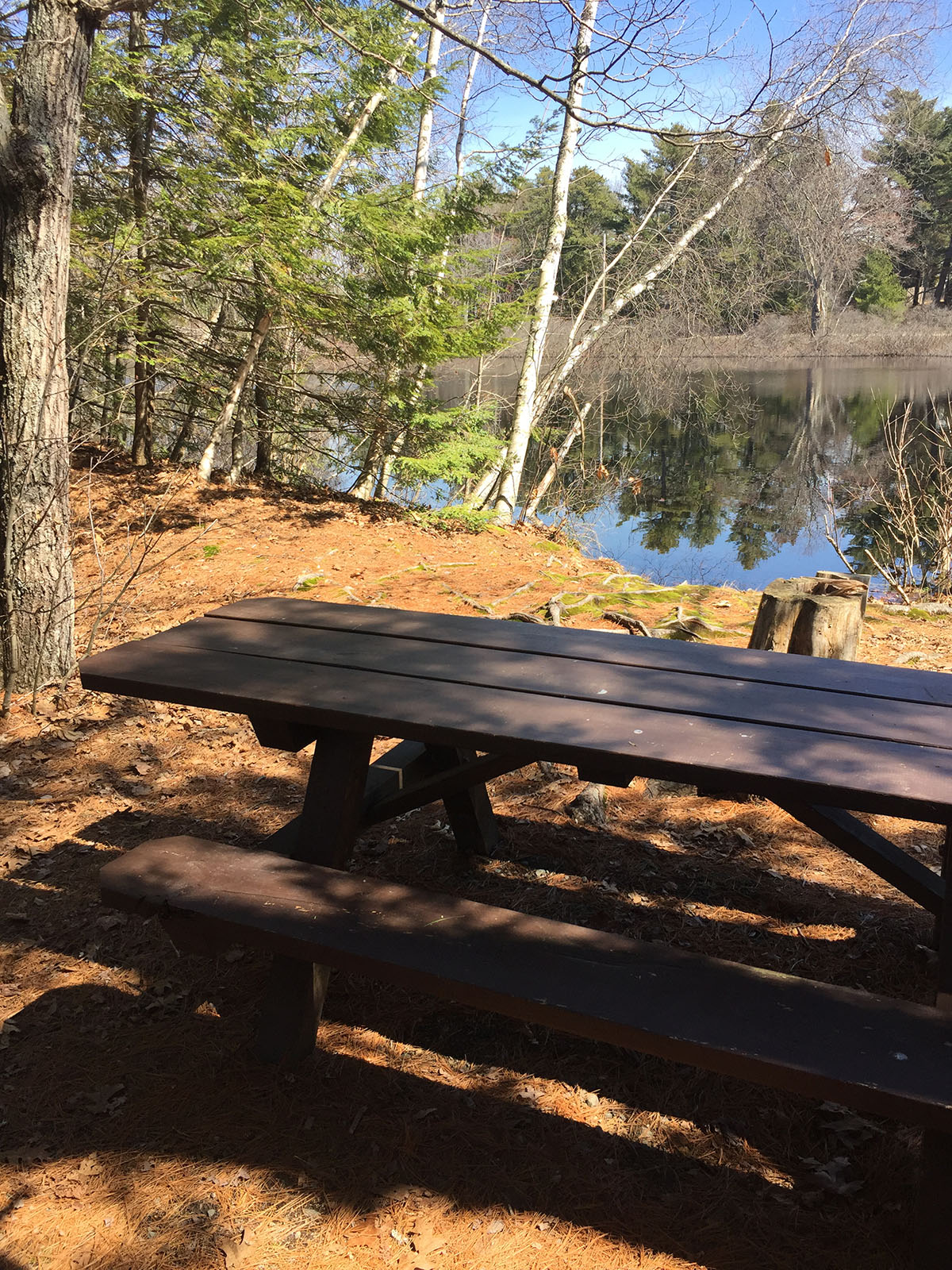 Maine Hikes Saco Beach Loop Trail Weekends in Maine