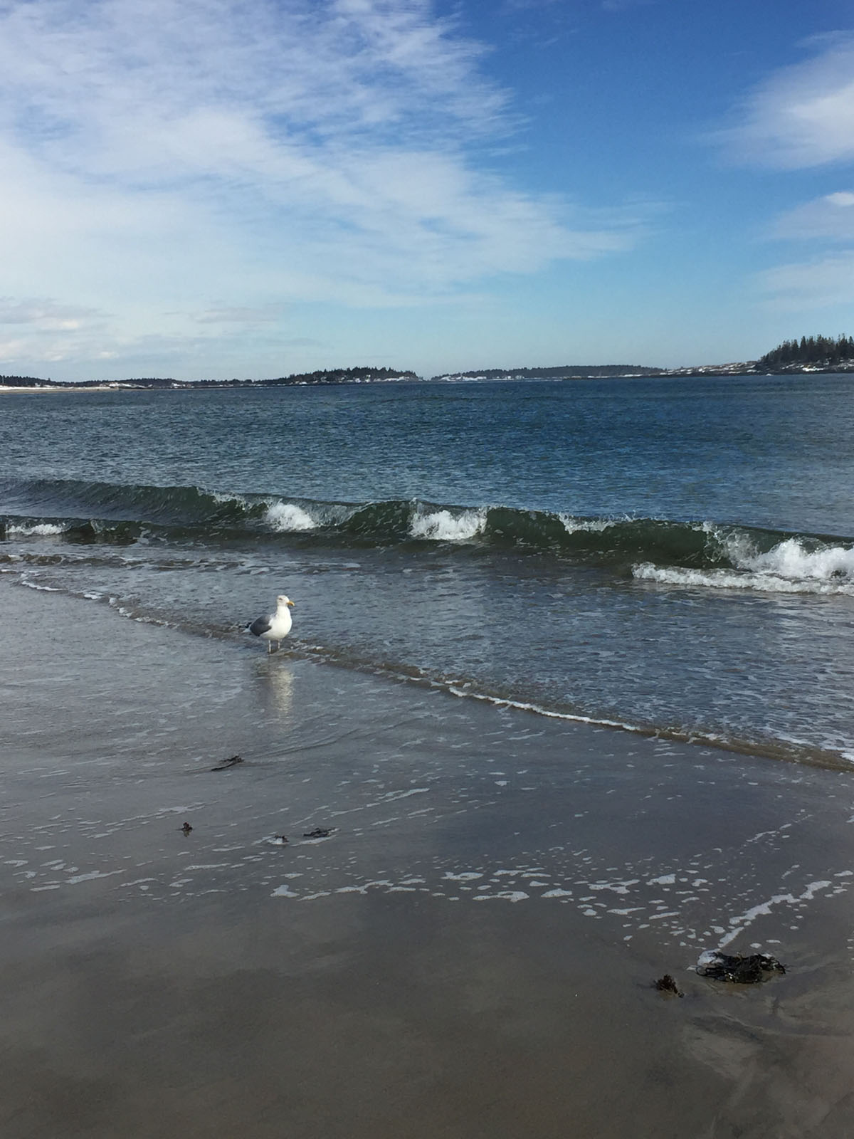 pophambeach15 Weekends in Maine