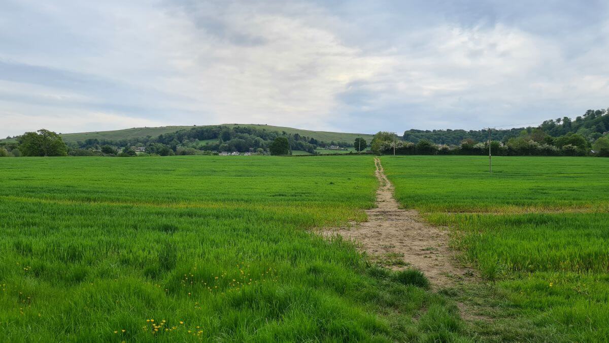Cotswold Way Circular Walk Stroud, Selsley Common, Middleyard & King’s