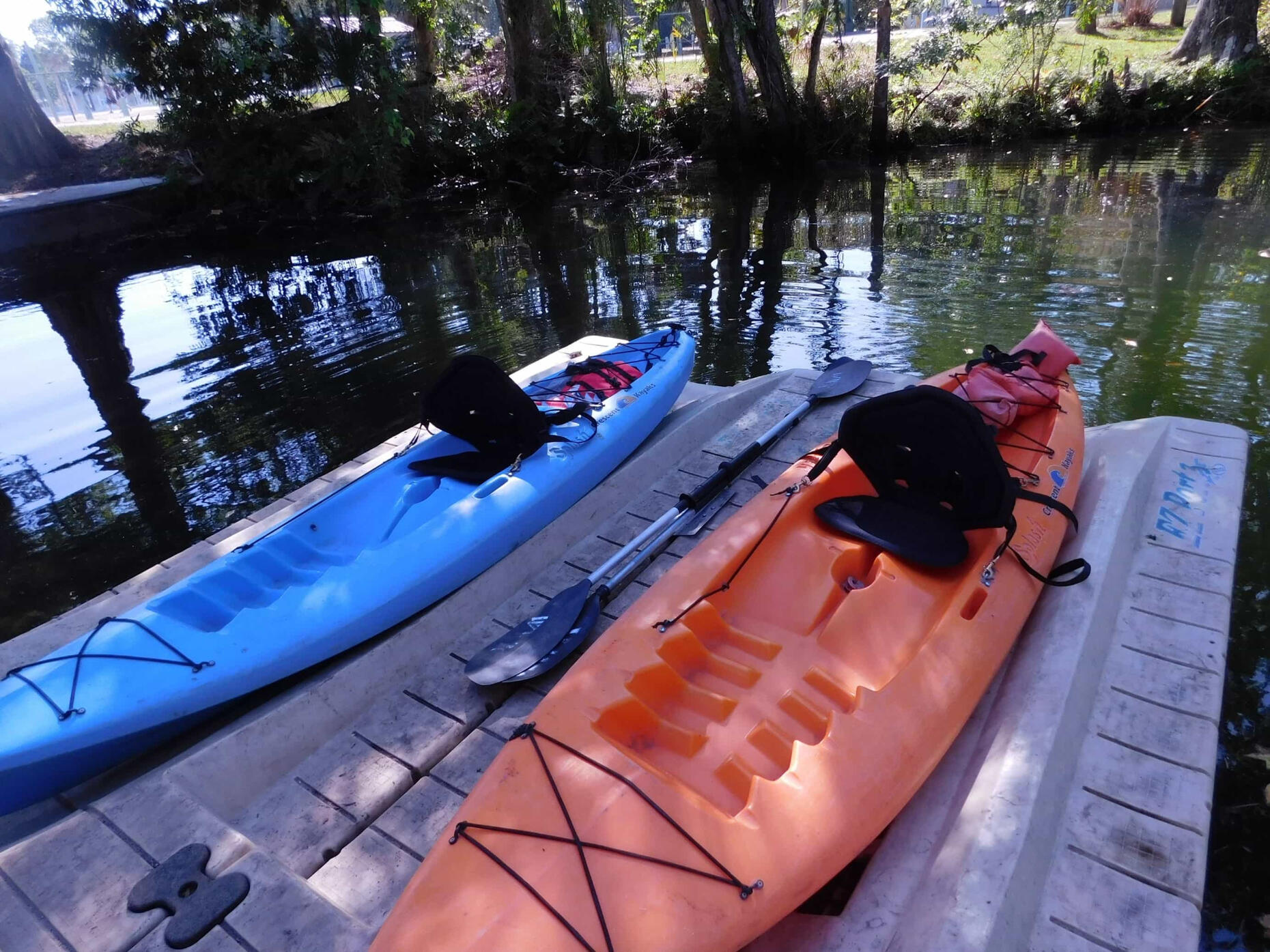 Weeki Wachee Kayaking