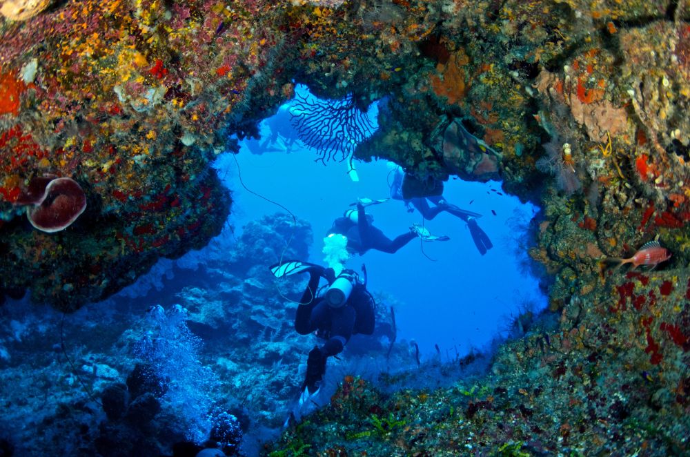 5 Best Grand Cayman Scuba Diving Spots Page 3