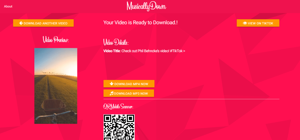 Best TikTok Video Downloader Online [With/Without Watermark]
