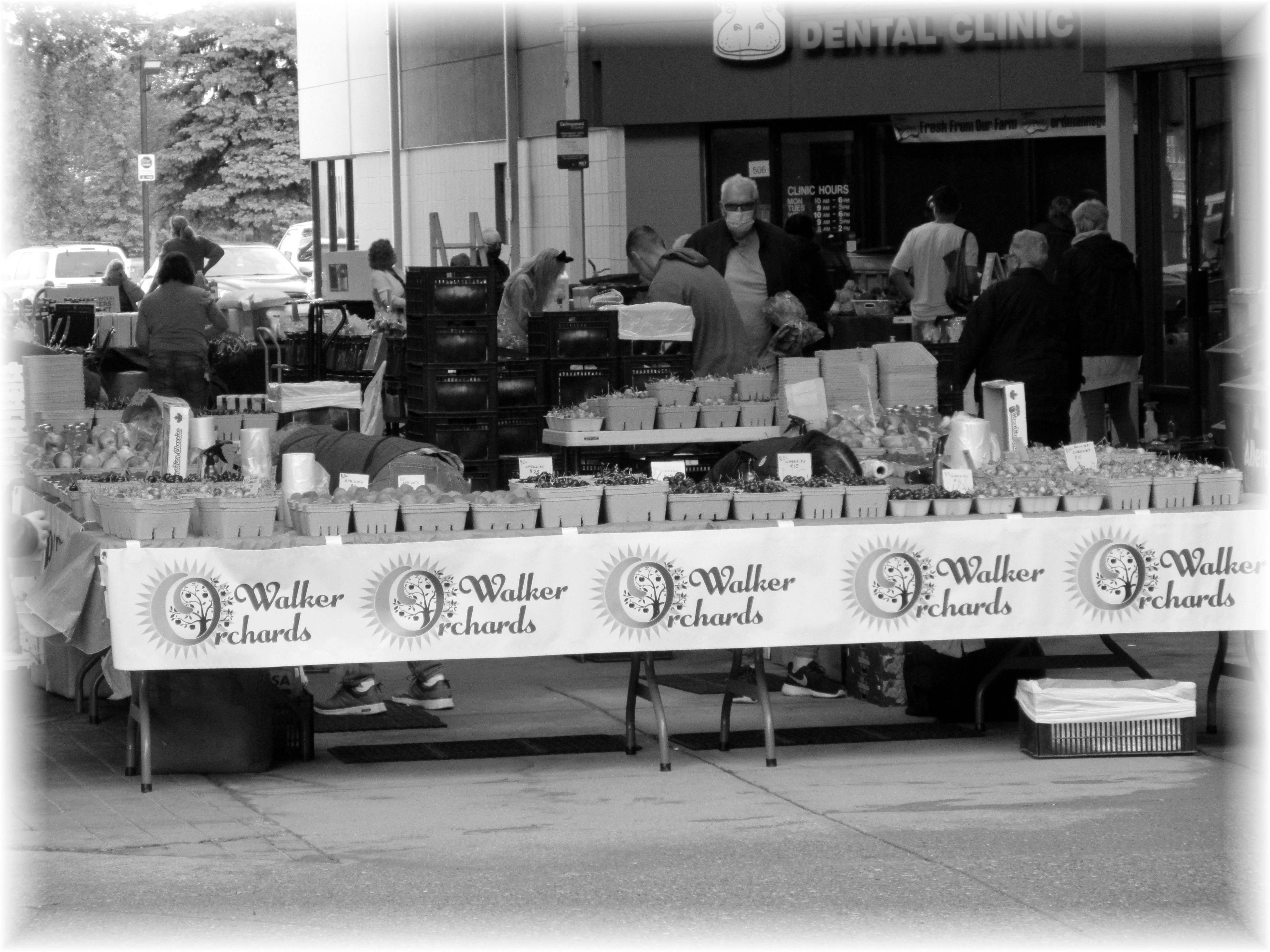 Wednesday Challenge Farmers Markets Weekly Prompts