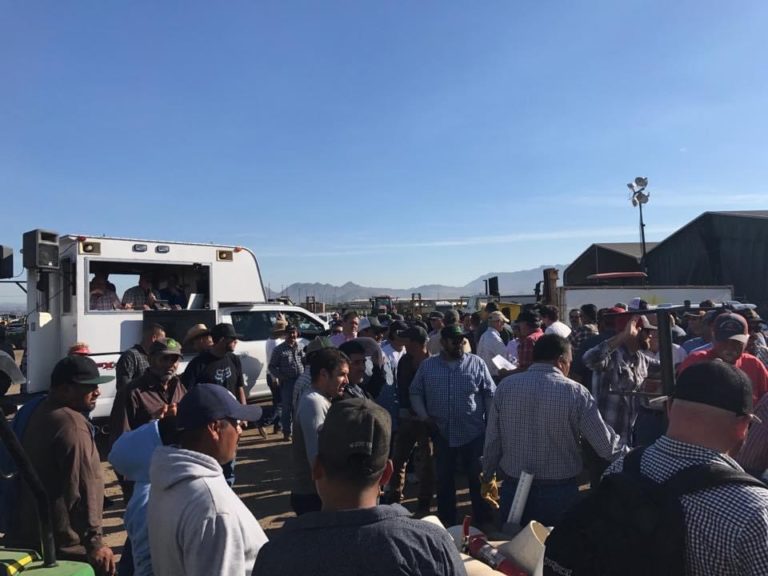 Our History Weeks Auction Company Florida