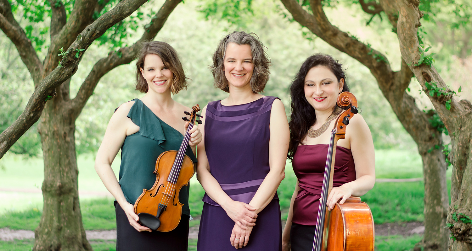 Wheeling Symphony Orchestra Presents Musician Takeover Concert Event