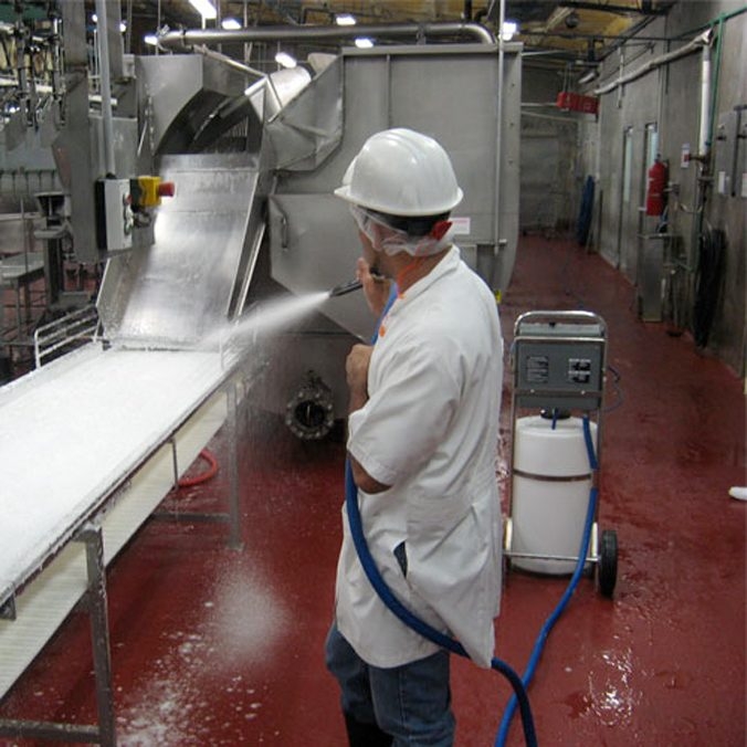 Top 10 best practices of Sanitation in Food Processing Weever