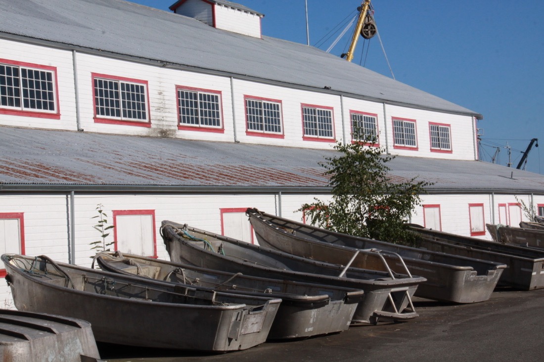 The Top Things to Do in Steveston, British Columbia A Fishing Village
