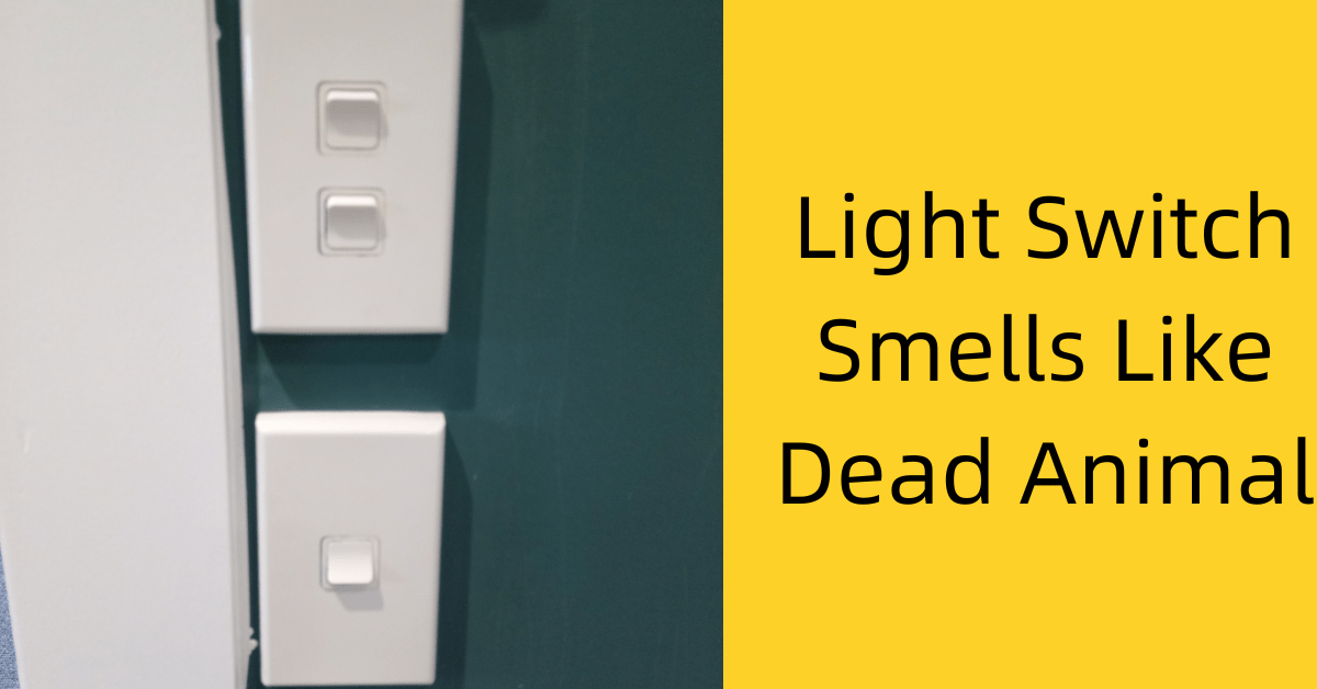 Light Switch Smells Like Dead Animal We Fix Faults