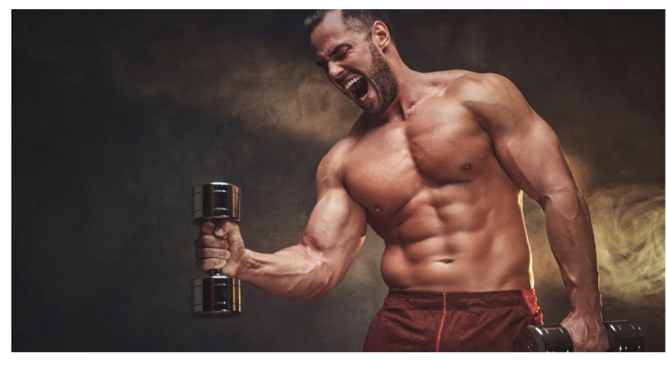 The Ultimate Guide To Legal Steroids In The Usa
