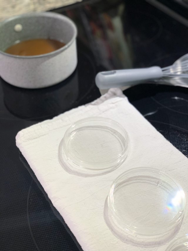 How to Make Agar Petri Dishes to Grow Bacteria We Got The Funk