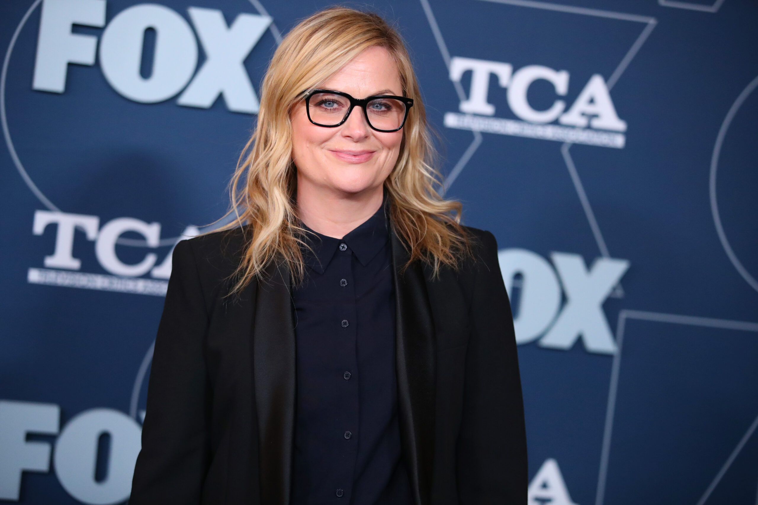 Amy Poehler Is Into A 'Parks and Recreation' Reboot, But Are Fans?