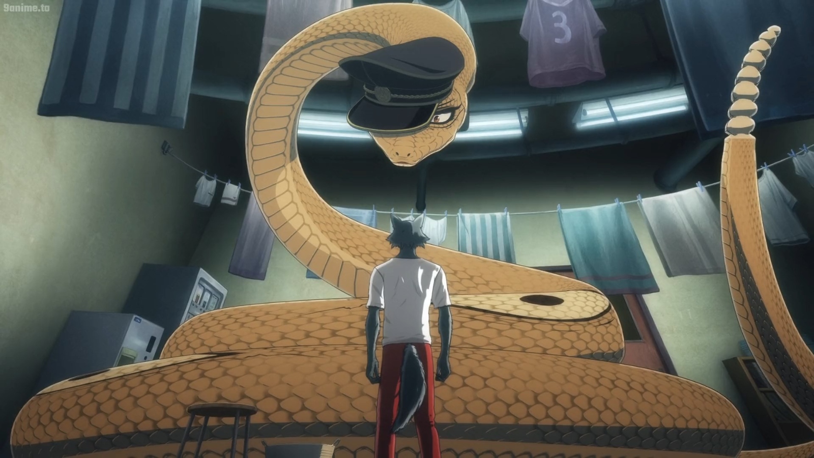 The 10 Best ‘Beastars’ Characters, Ranked