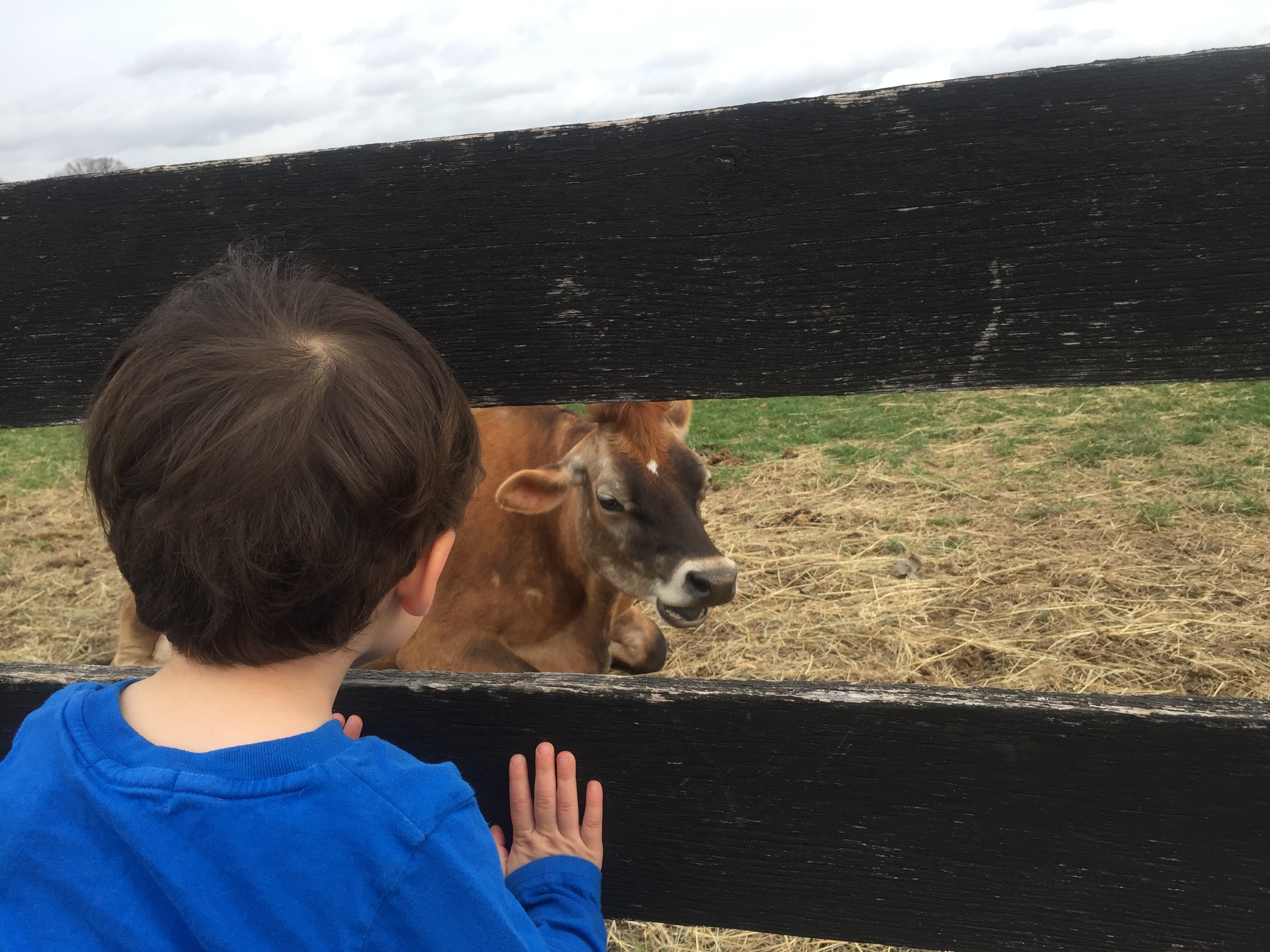 Spotlight Frying Pan Park With Kids We Go With Kids!