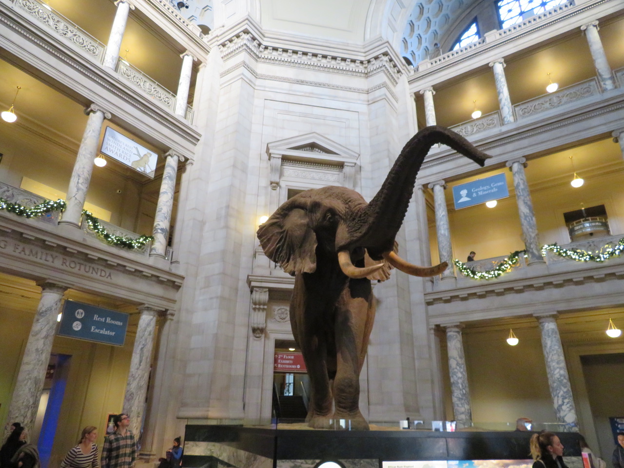Best Natural History Museums in the World We Go With Kids!