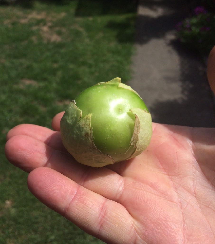 Tomatillos > Salsa Verde > Epic Nachos We Grew That