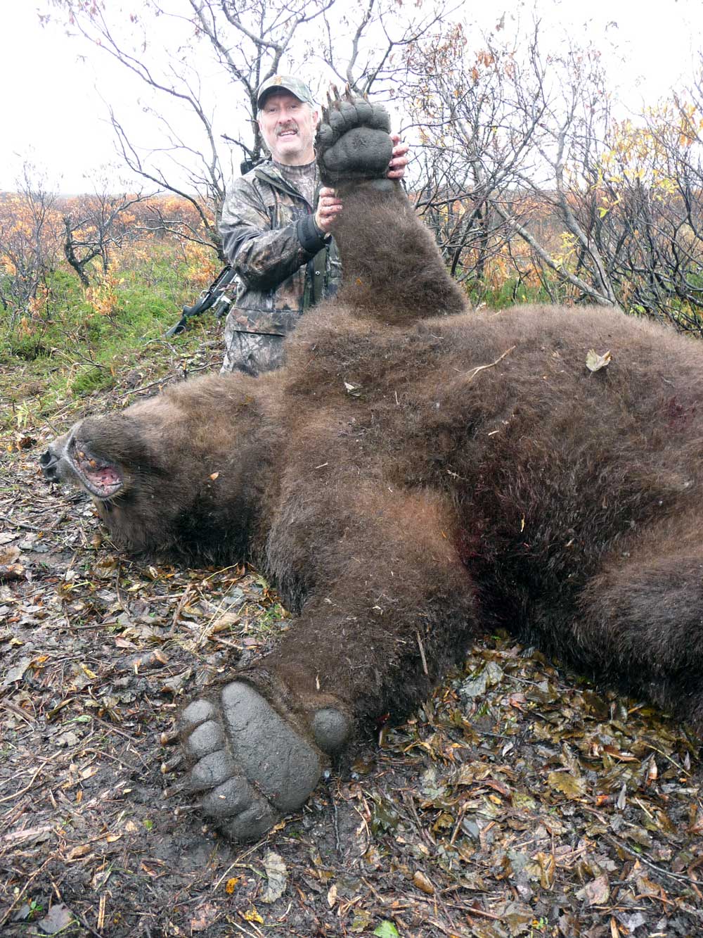 Alaska Wilderness Charters & Guiding Alaska Brown Bear Hunting