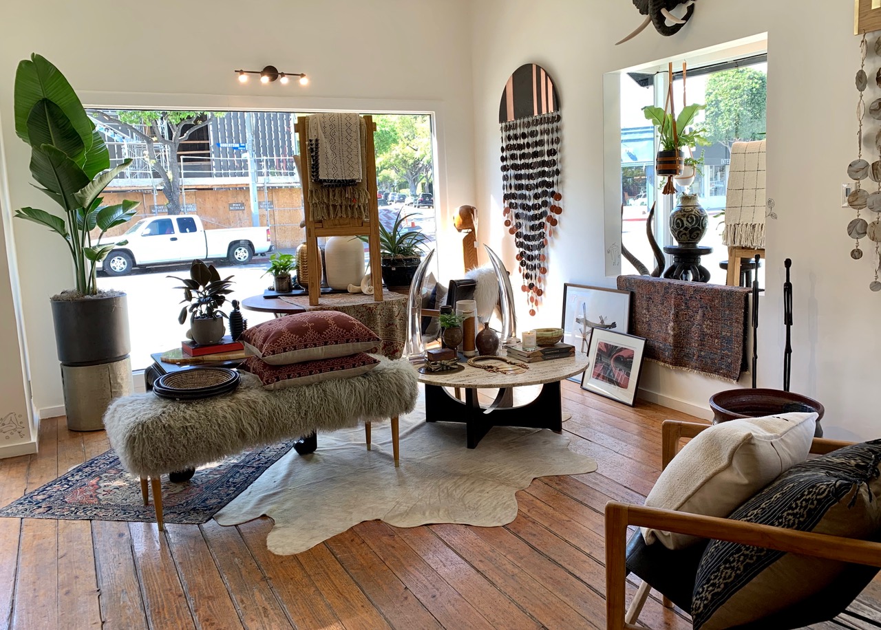 Business Briefs Dacha Comes Home, Ottica Vs. Optique, and CrueltyFree