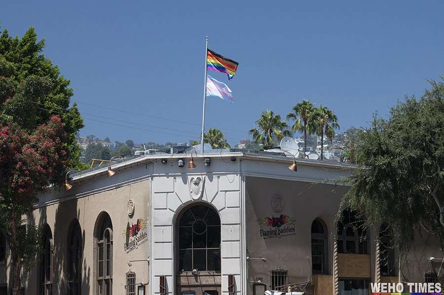 Business License Commission to Consider Cannabis License for Fantom