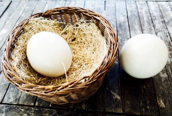 Typical Weight of an Egg and Other Interesting Facts WeighMag