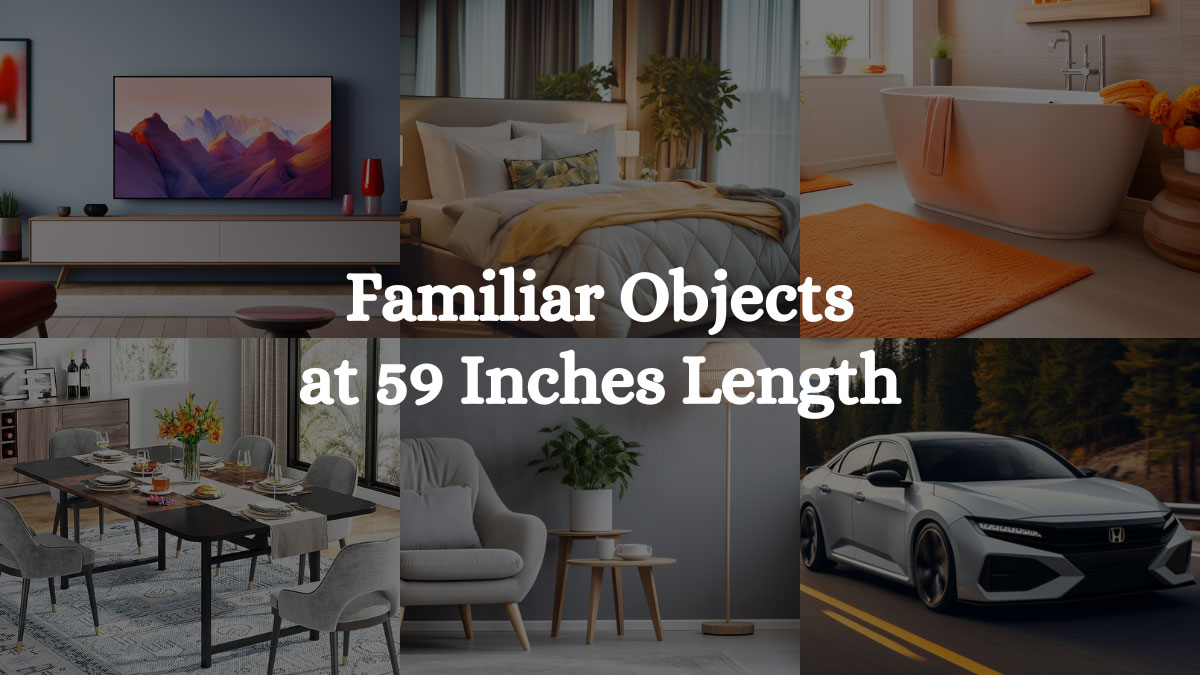How Big Is 59 Inches Familiar Objects at 59 Inches Length