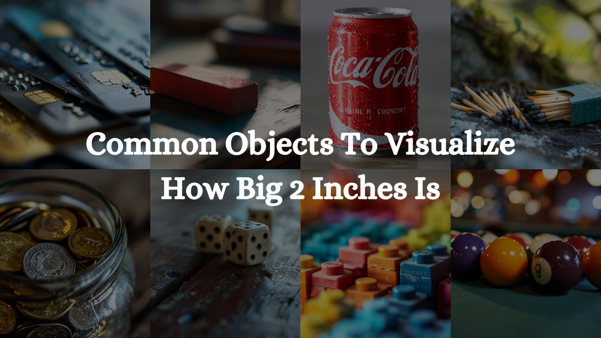 How Big Is 2 Inches Everyday Items & Their Size Comparison