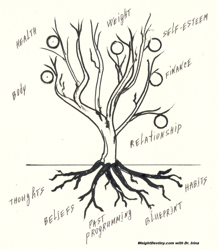 Life Tree.Inner World Outer World.Roots and Fruits Life Tree Eating