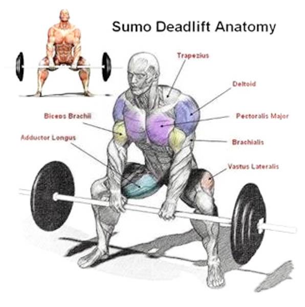 Sumodeadlift Highpull
